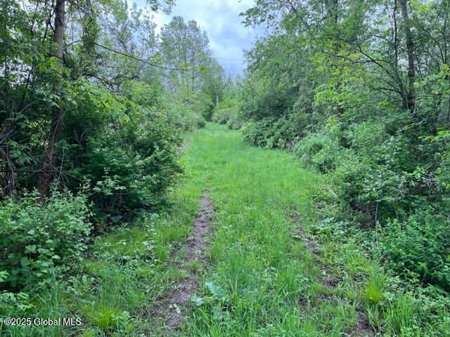 L1.12 Carlisle Road, Sprakers, New York image 7