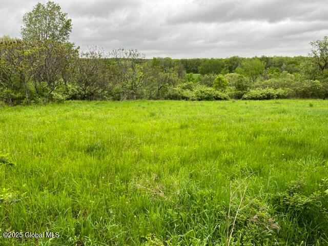 L1.12 Carlisle Road, Sprakers, New York image 5