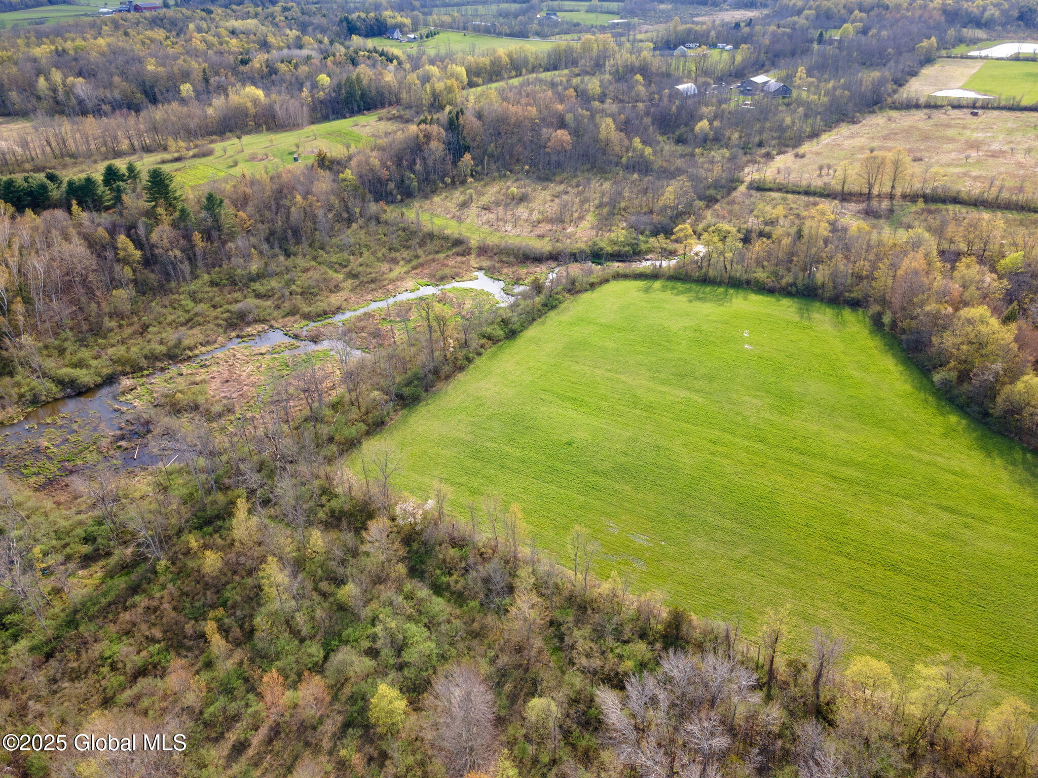 L1.12 Carlisle Road, Sprakers, New York image 18