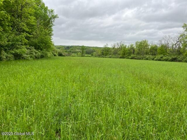 L1.12 Carlisle Road, Sprakers, New York image 2
