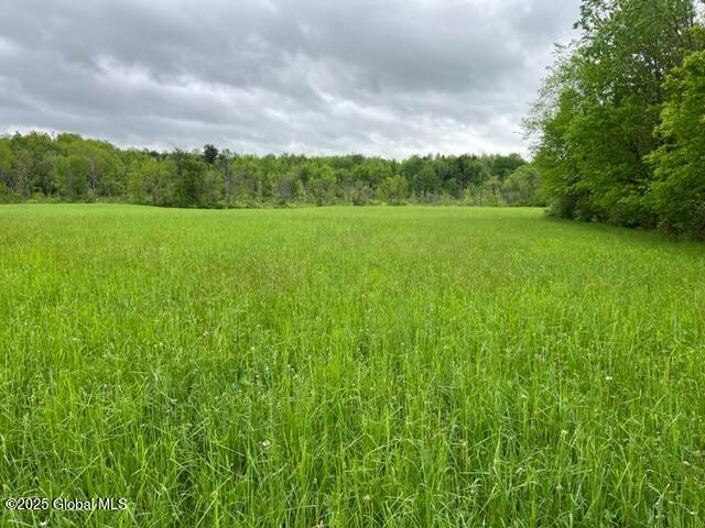 L1.12 Carlisle Road, Sprakers, New York image 4