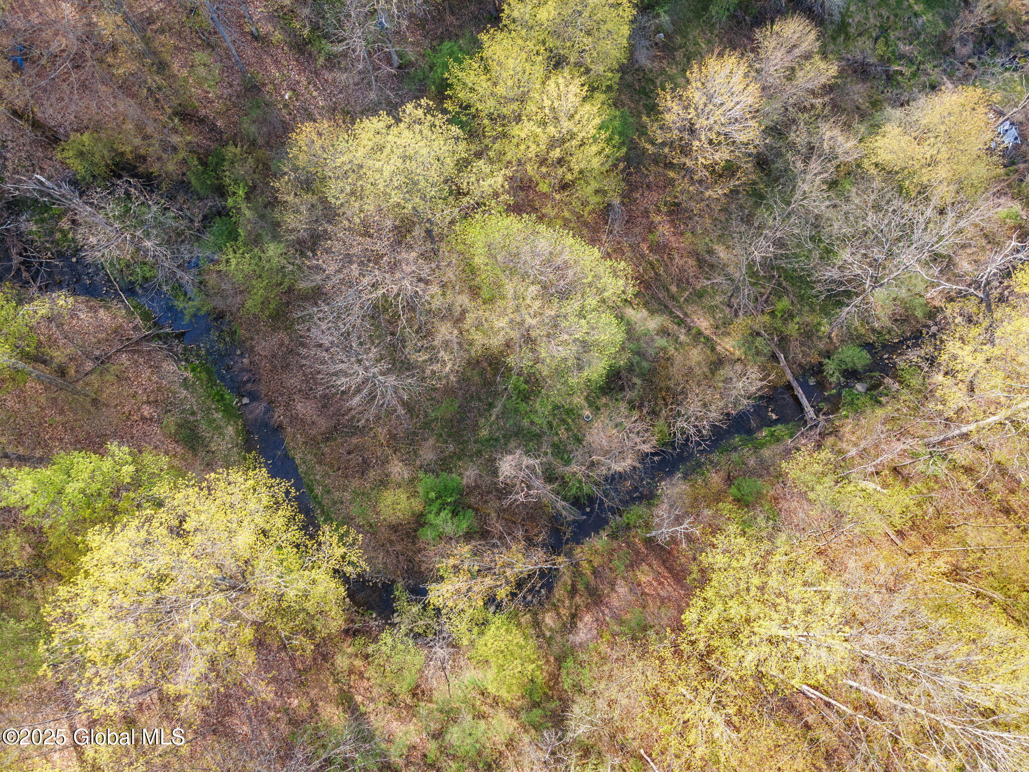 L1.12 Carlisle Road, Sprakers, New York image 22