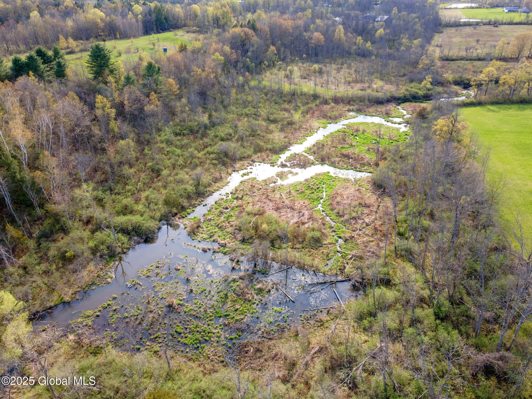 L1.12 Carlisle Road, Sprakers, New York image 19