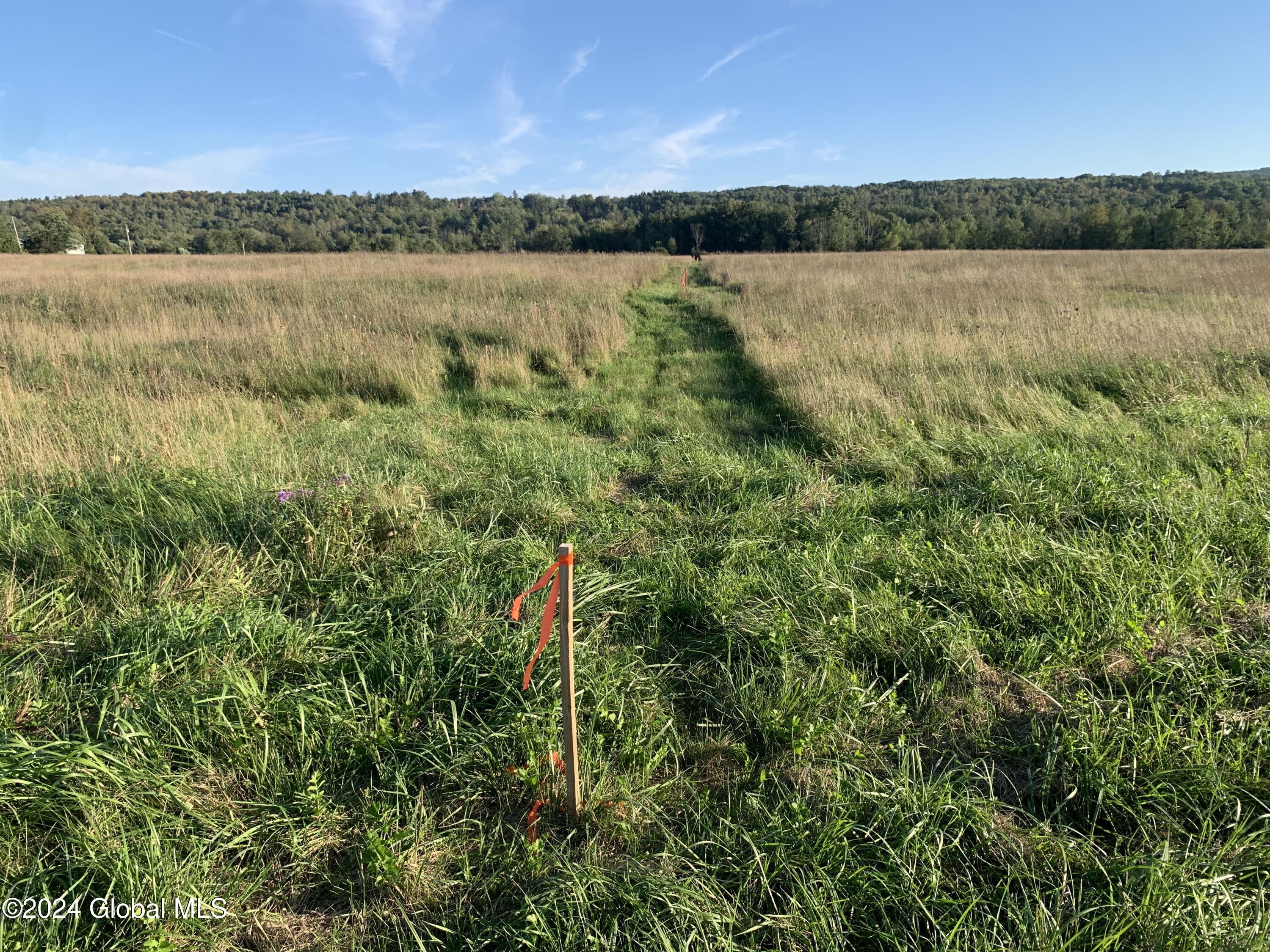 Lot 5 Ny 30, Esperance, New York image 9