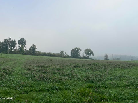 Photo of L4.15 Mattison Road, Fort Ann, NY 12827 (MLS # 202626452)