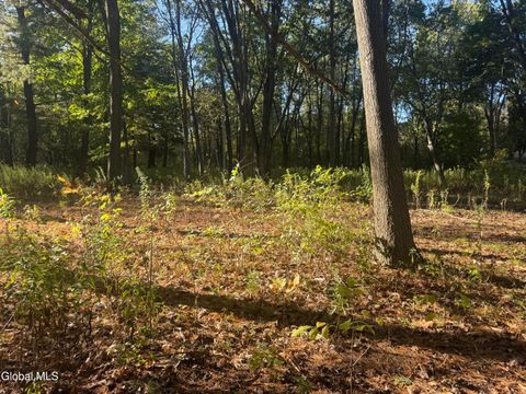 Photo of 2482 Troy Schenectady Road, Schenectady, NY 12309 (MLS # 202526940)