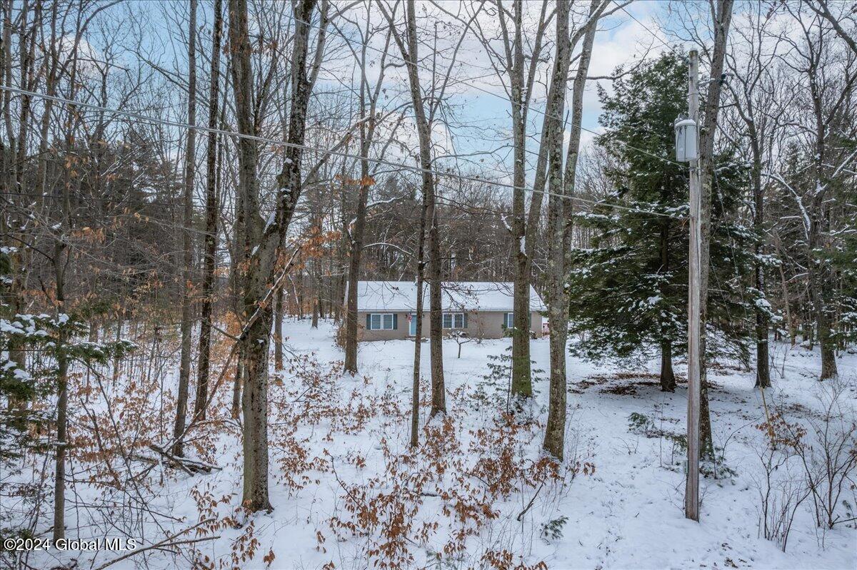 32 Lady Slipper Lane, Porter Corners, New York image 41