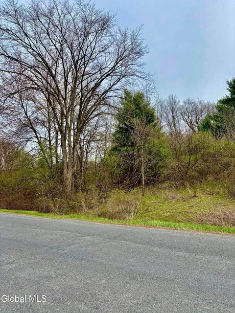 Photo of L37.4 Burden Lake Road, East Greenbush, NY 12061 (MLS # 202616200)
