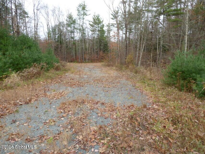 L 2.19 Jasmine Road, Stephentown, New York image 3