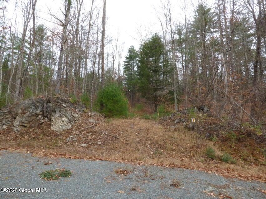 L 2.19 Jasmine Road, Stephentown, New York image 7