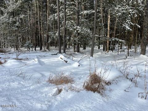 Vacant Land For Sale - 51 Circle Drive<br/> Greene County, West Coxsackie, NY 12192