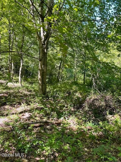 Vacant Land For Sale - L35 Off Harring Extension<br/> Greene County, Cairo, NY 12413