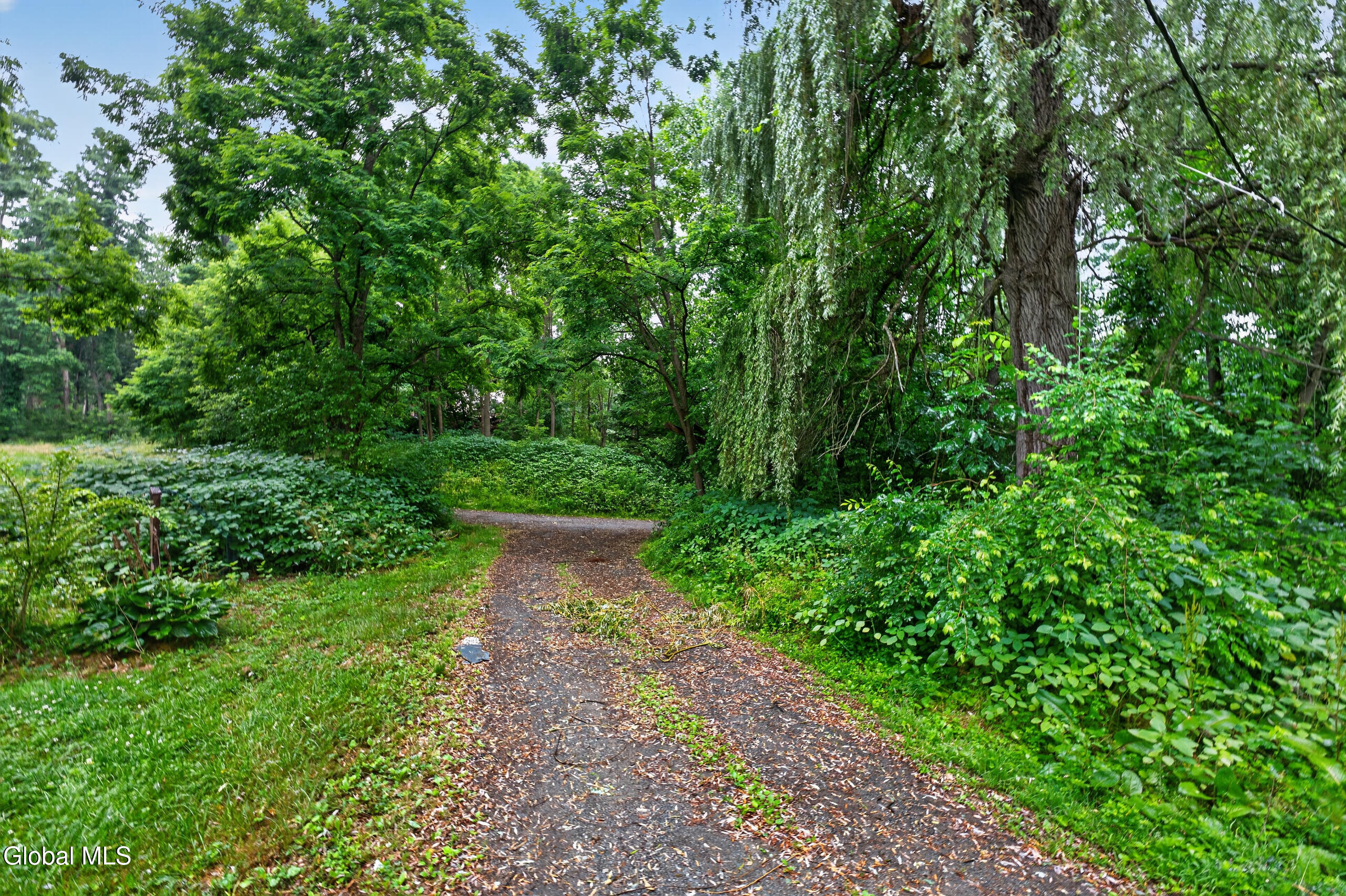 888 River Road