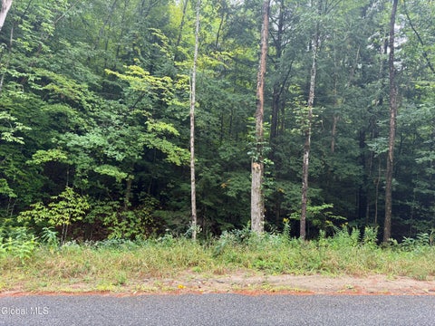 Photo of 00.00 Parker Cross Road, Thurman, NY 12885 (MLS # 202625235)