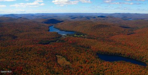 0 Hamilton Lake Road Speculator NY 12108