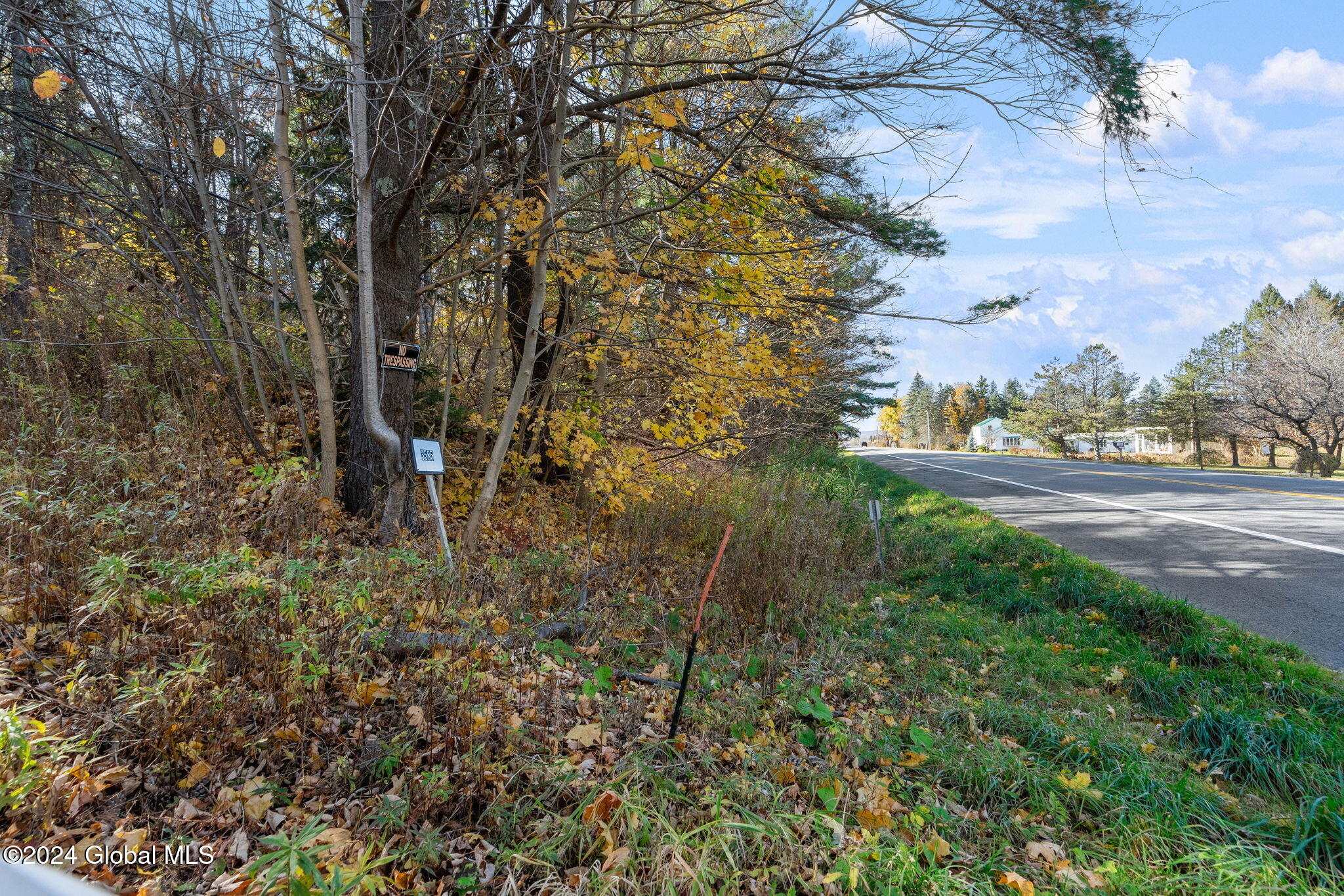 3585 State Route 145, Schoharie, New York image 9