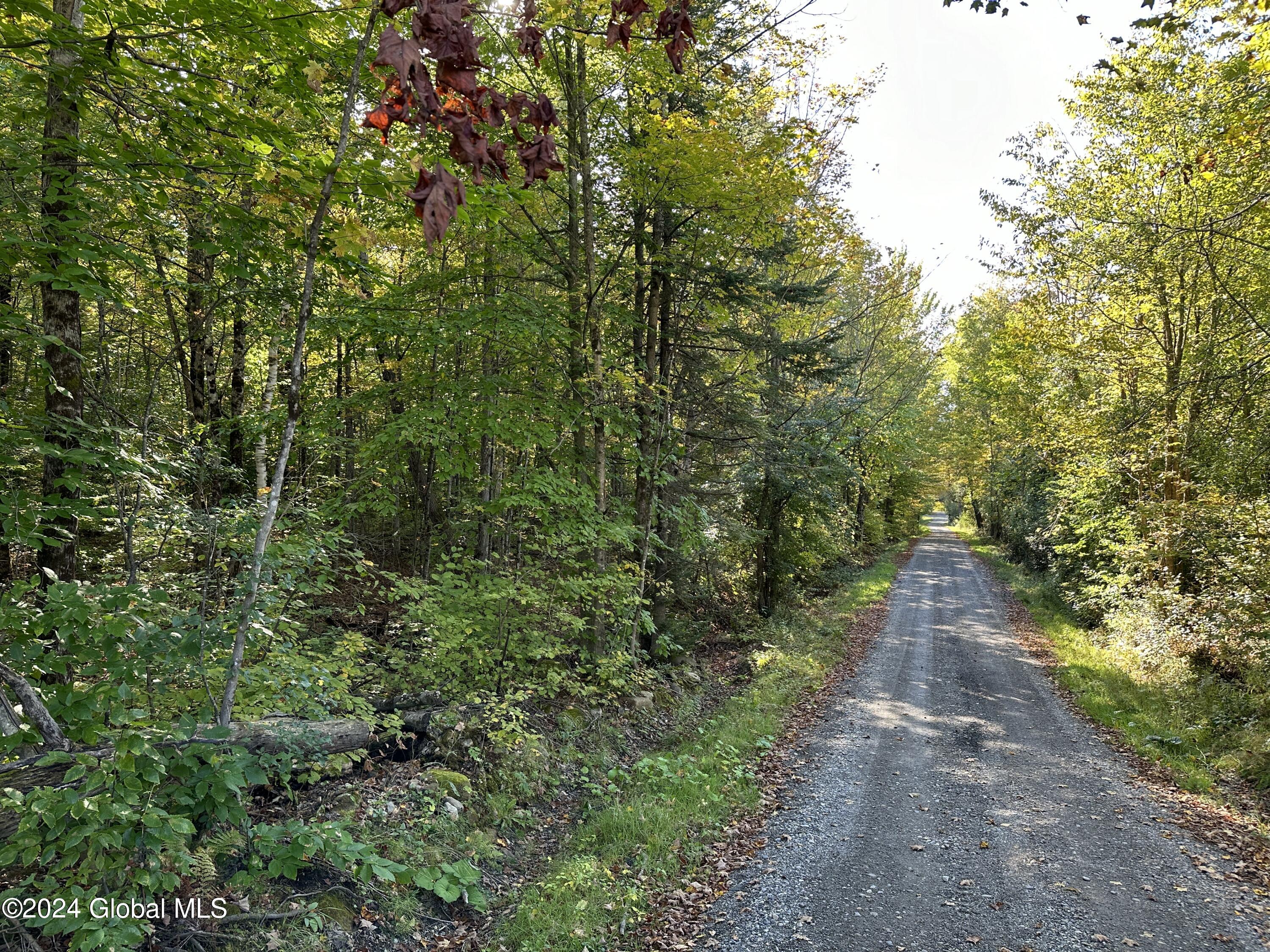 L9 Cold Spring Road, Crown Point, New York image 1