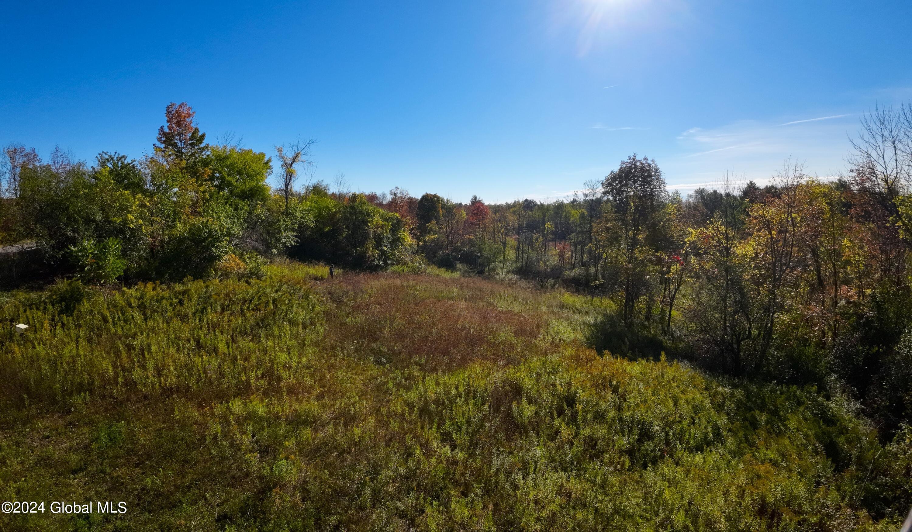 7593 Western Turnpike, Delanson, New York image 6