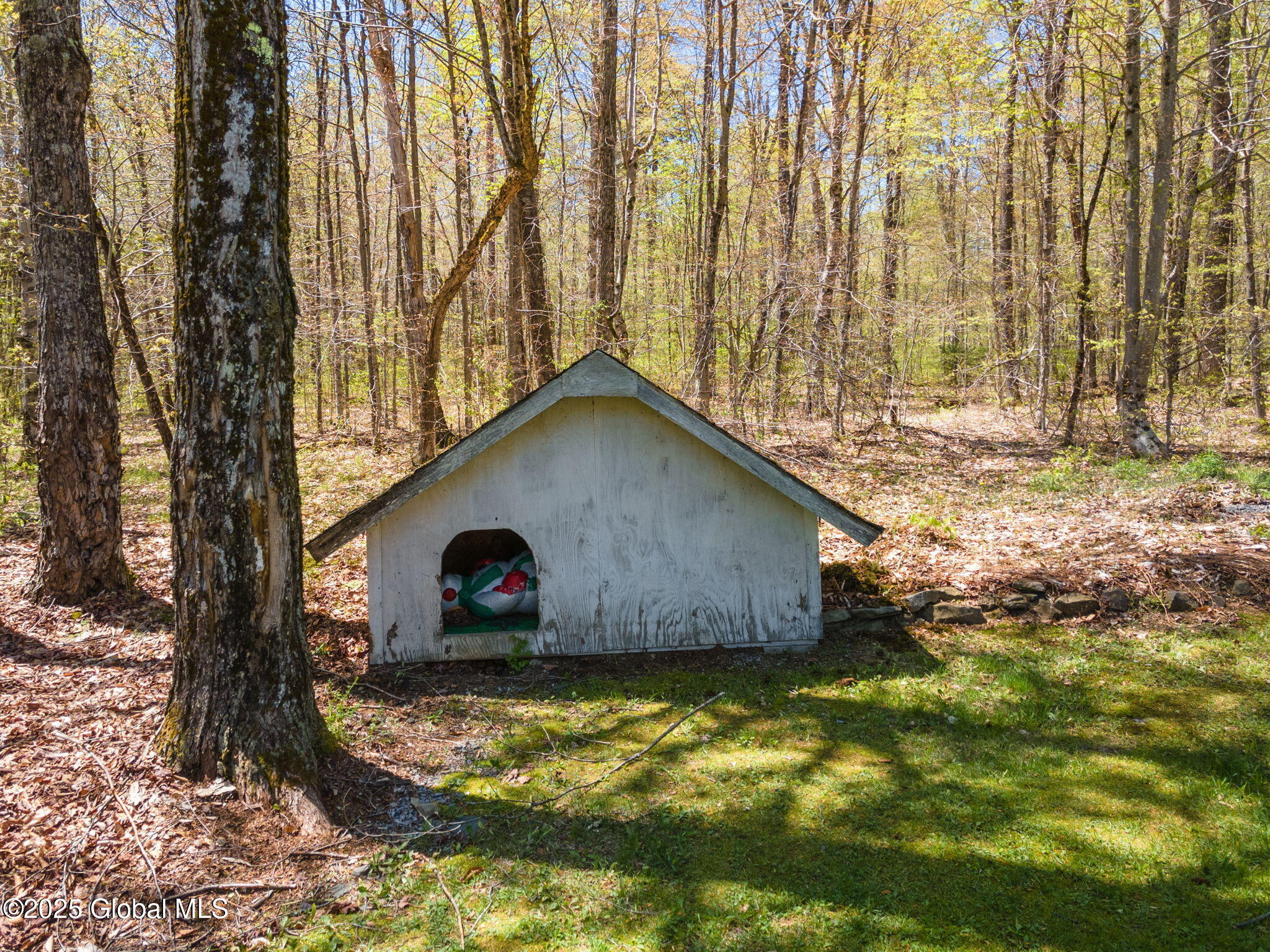 194 Morrisville Road, Jefferson, New York image 49