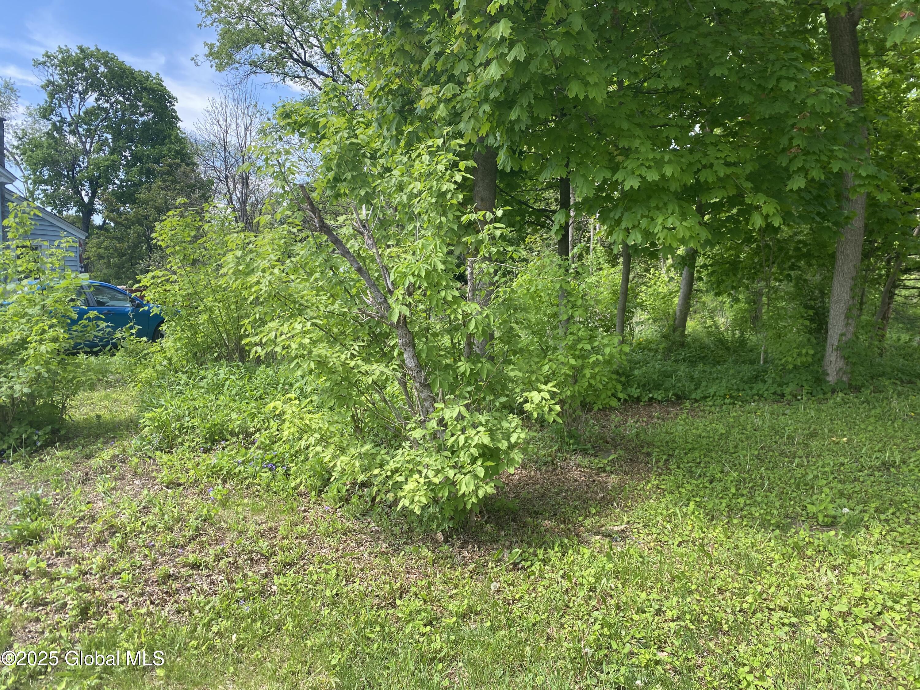 36 Terra Cotta Avenue, Glens Falls, New York image 4