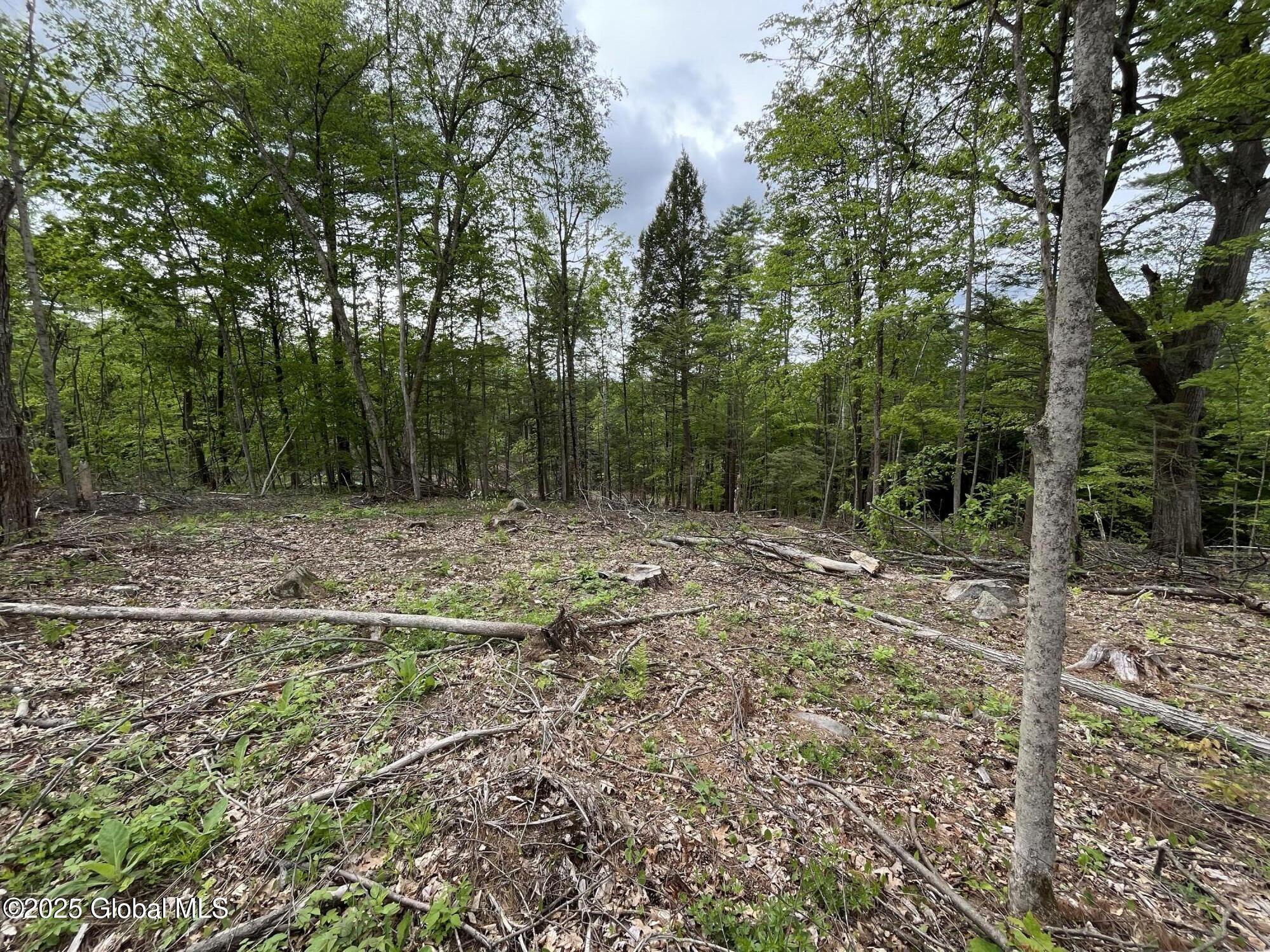 L4.2 Tripoli Road, Hudson Falls, New York image 6