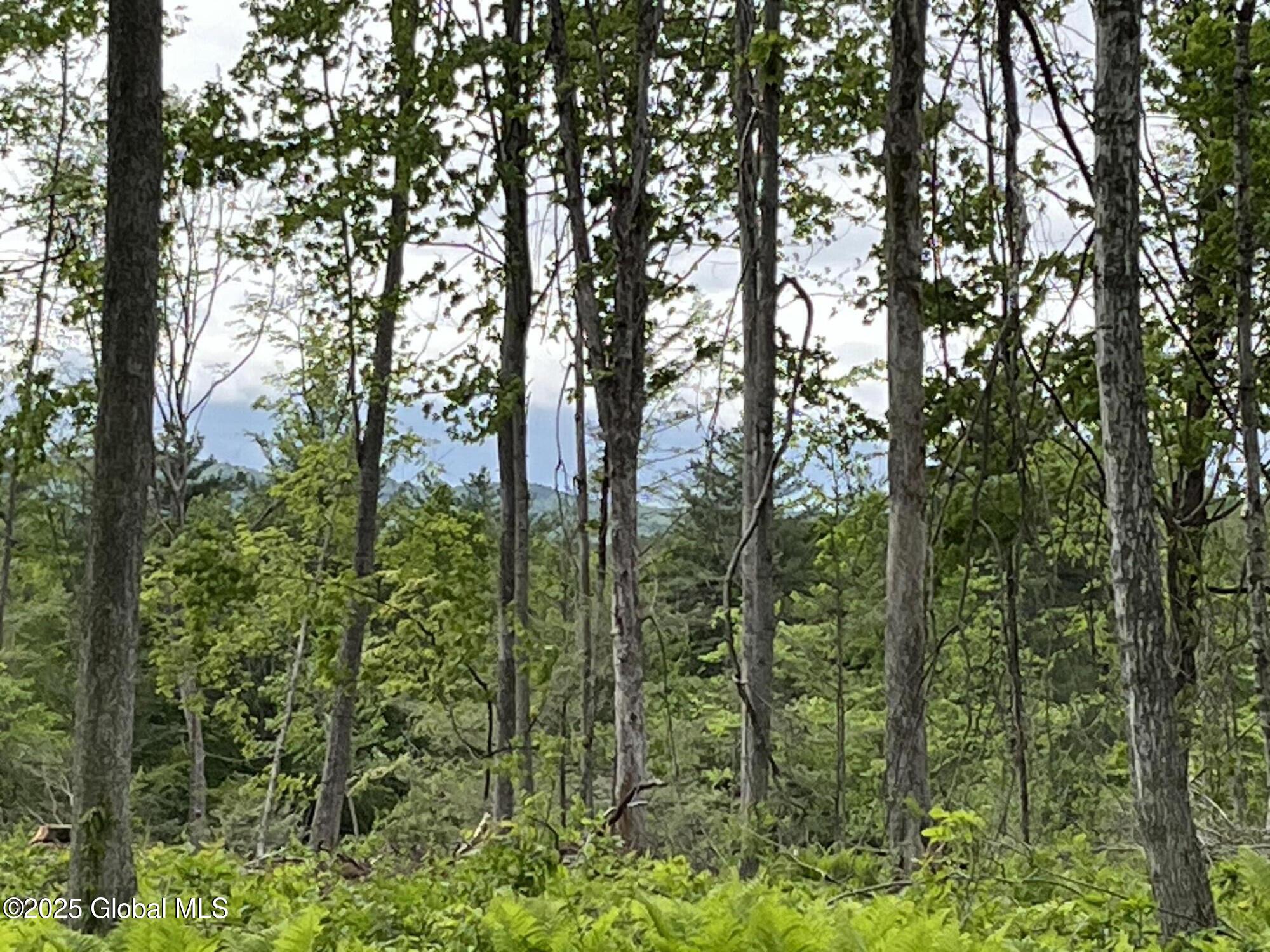 L4.2 Tripoli Road, Hudson Falls, New York image 14