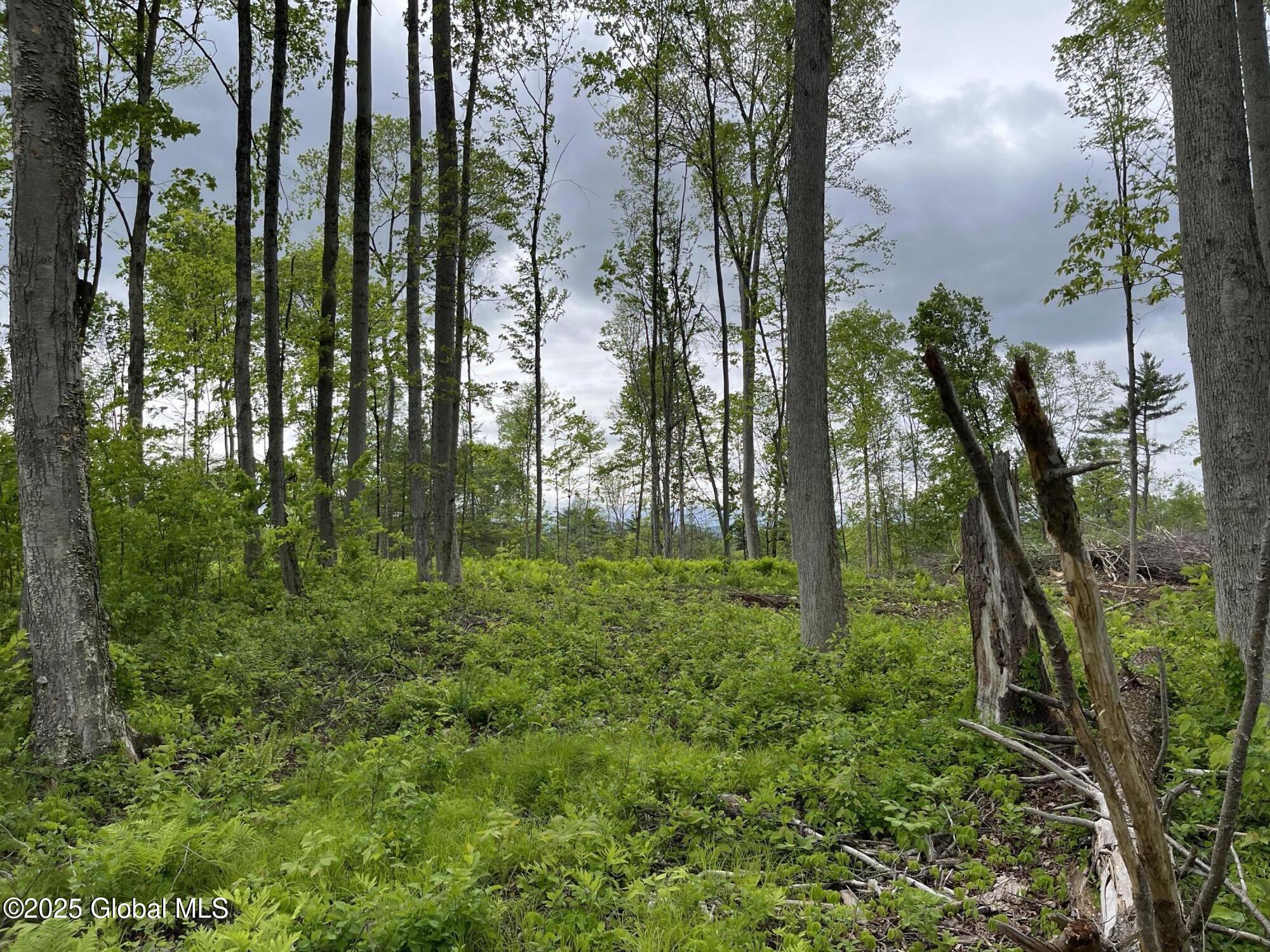 L4.2 Tripoli Road, Hudson Falls, New York image 13