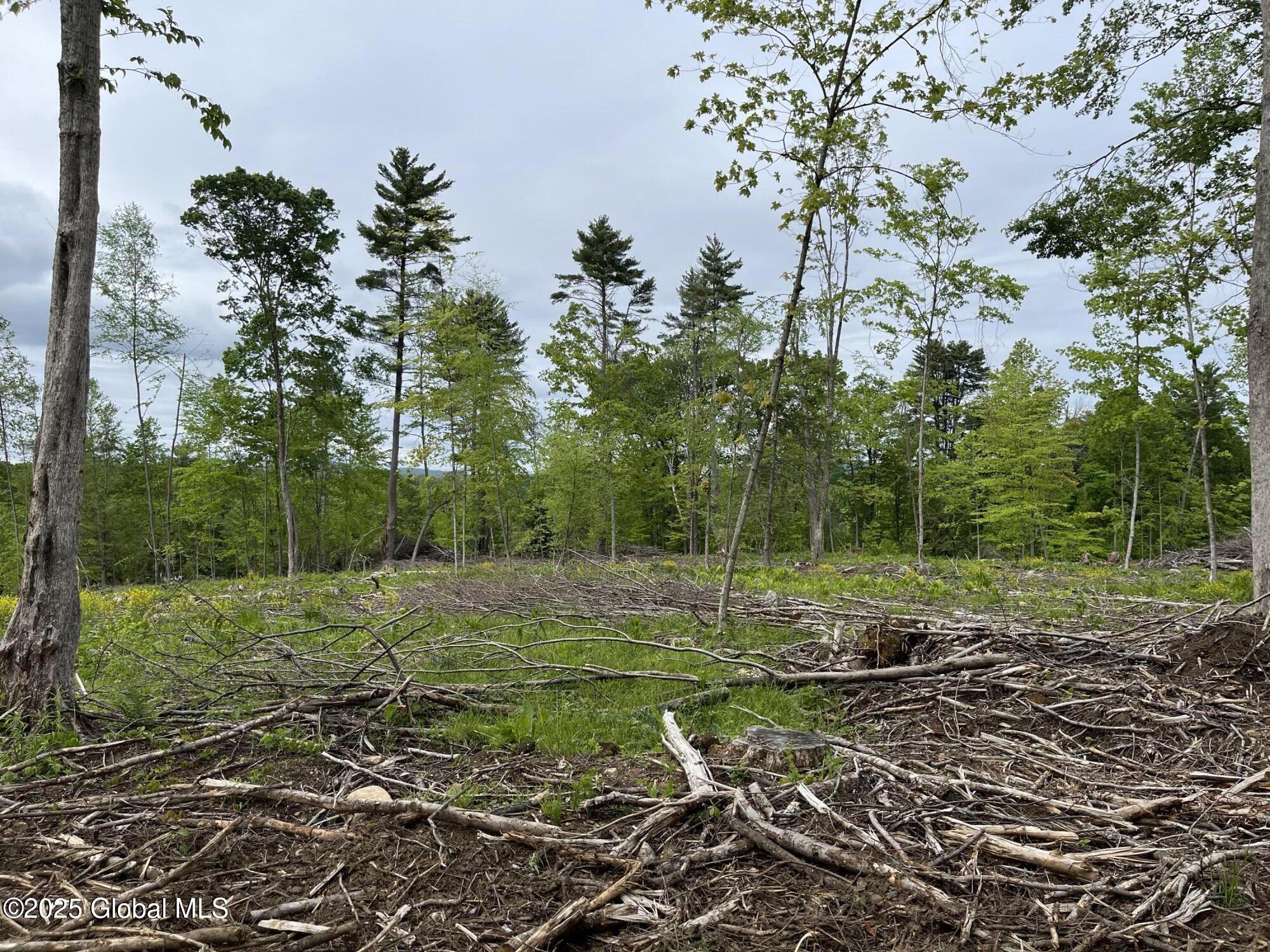 L4.2 Tripoli Road, Hudson Falls, New York image 11