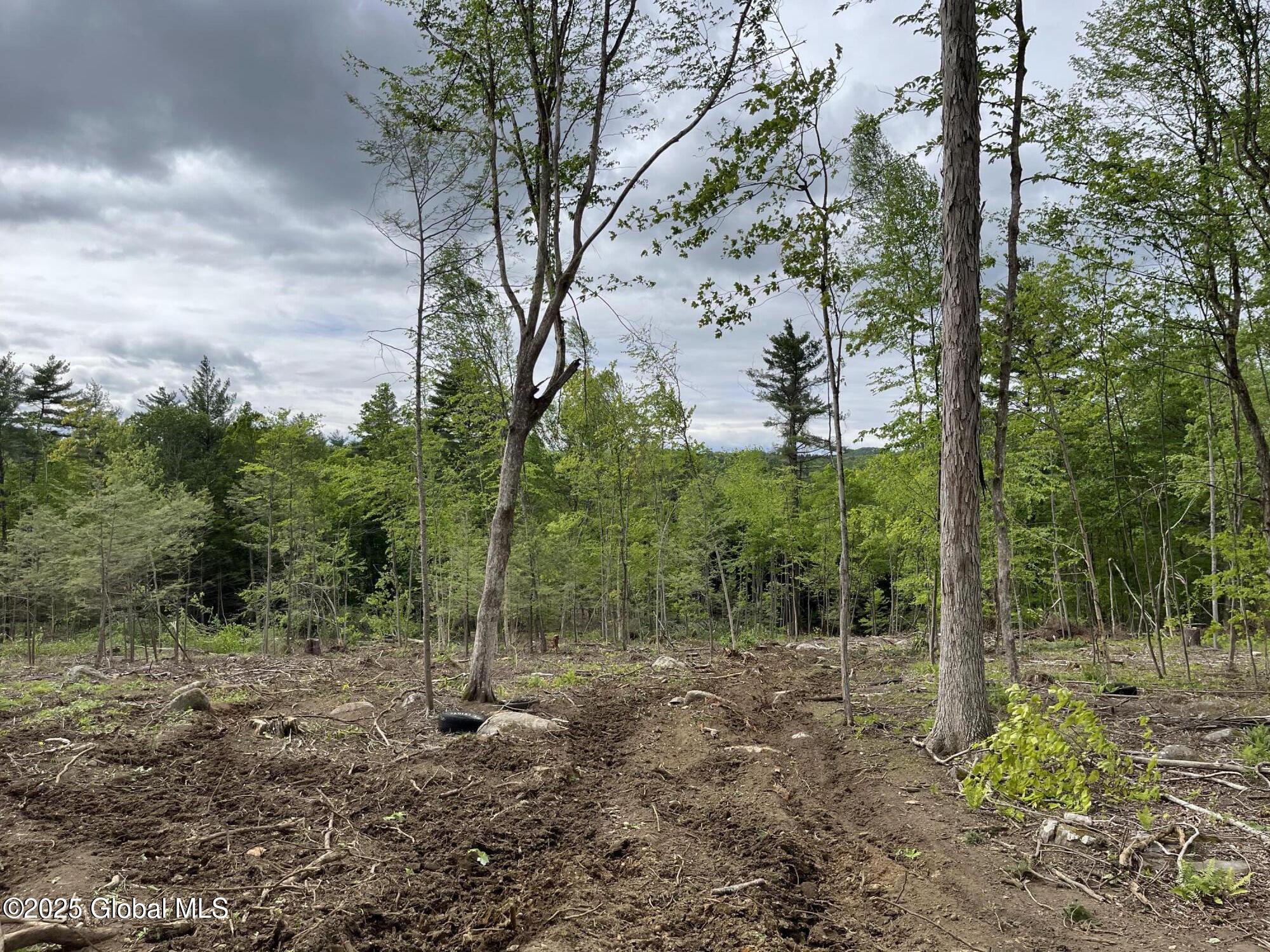L4.2 Tripoli Road, Hudson Falls, New York image 8