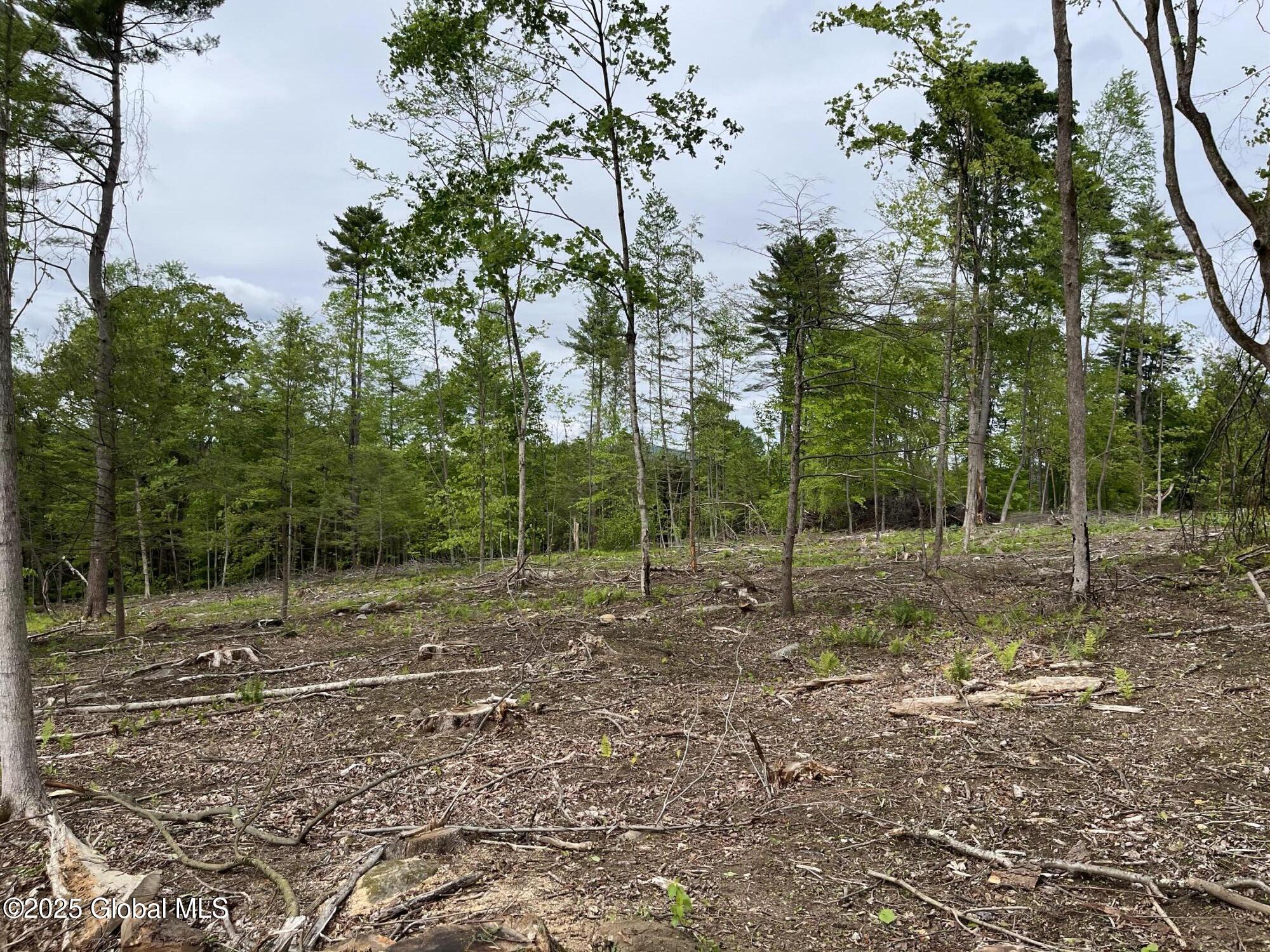 L4.2 Tripoli Road, Hudson Falls, New York image 9