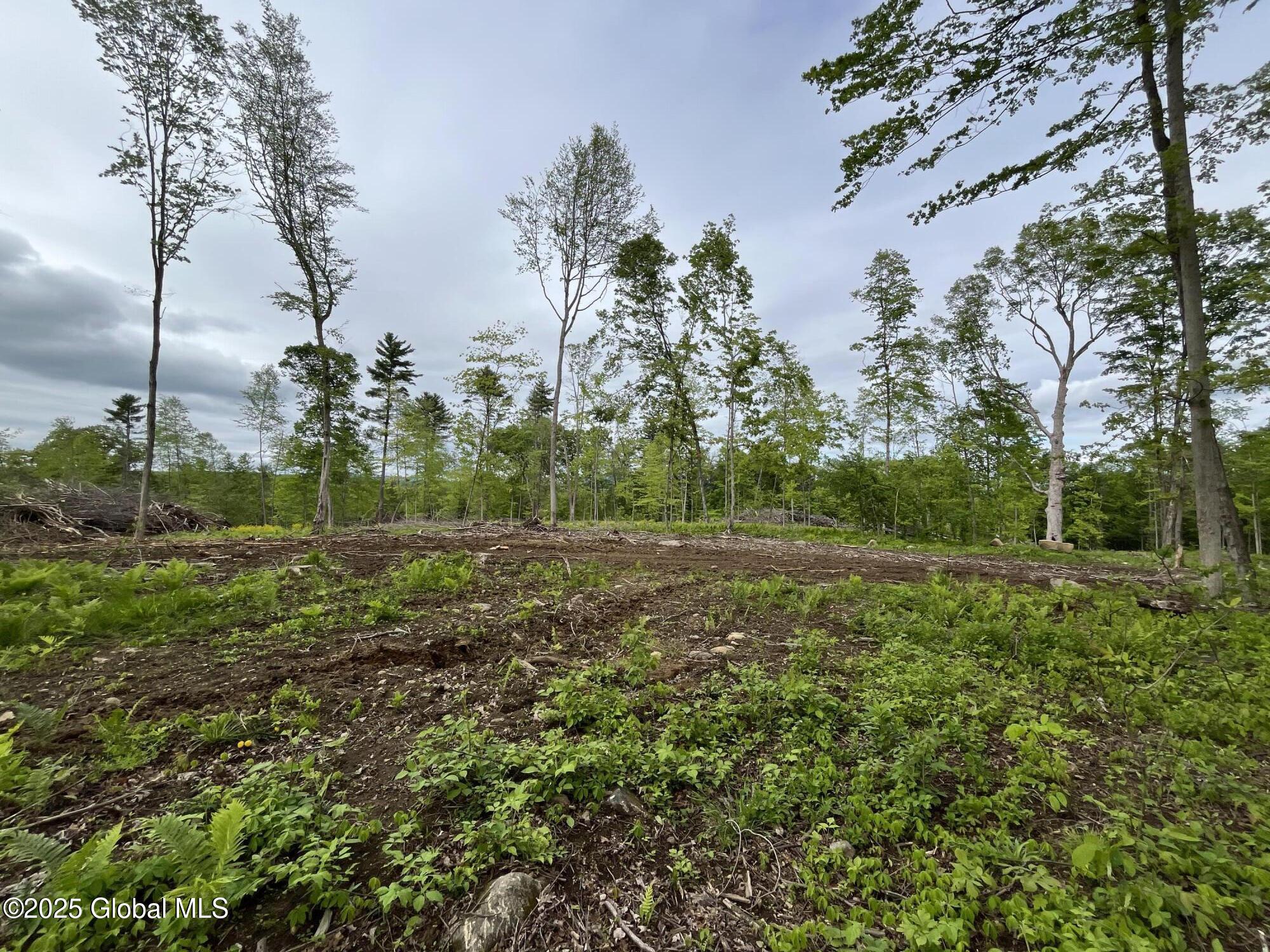 L4.2 Tripoli Road, Hudson Falls, New York image 16