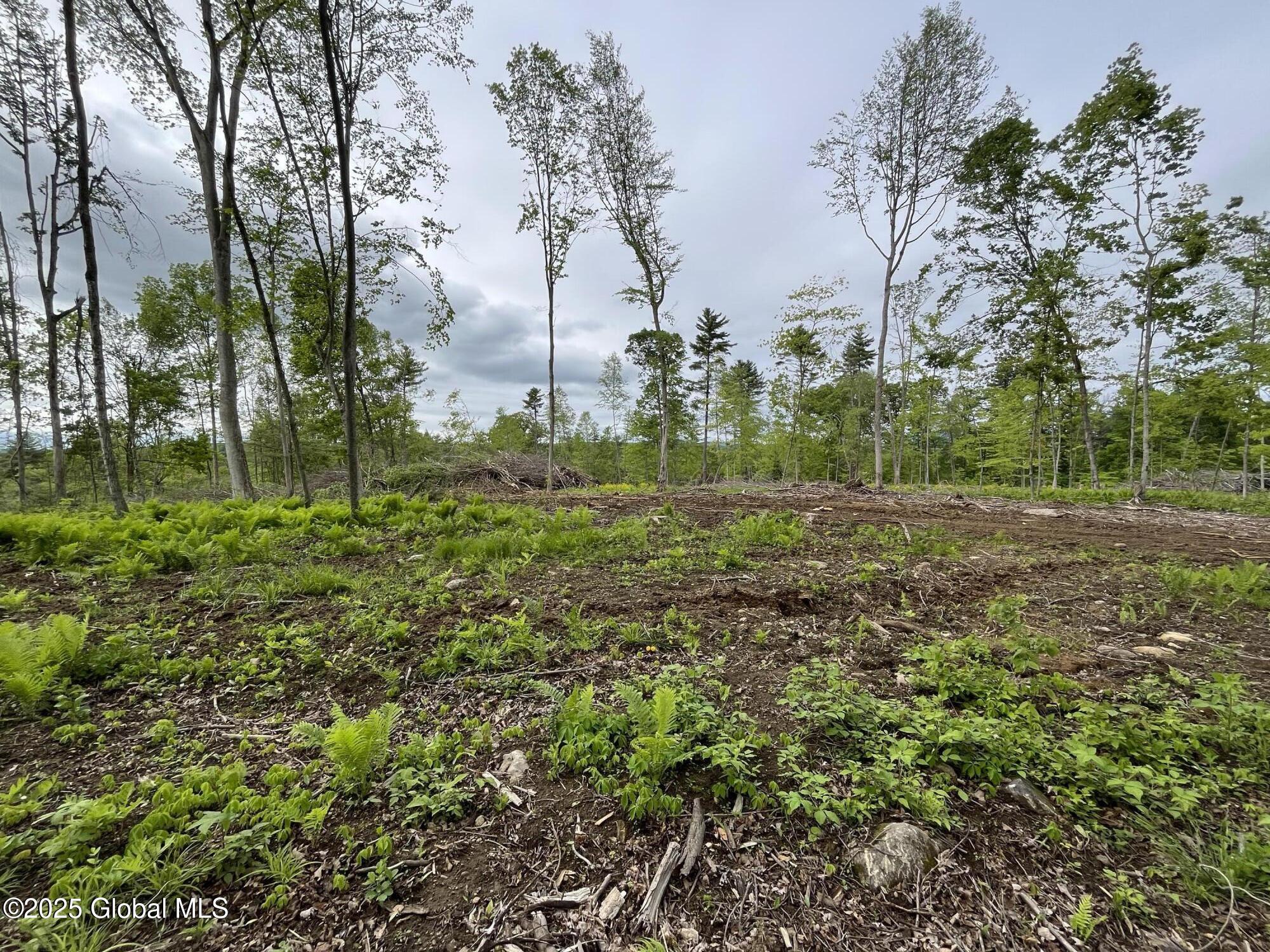 L4.2 Tripoli Road, Hudson Falls, New York image 15