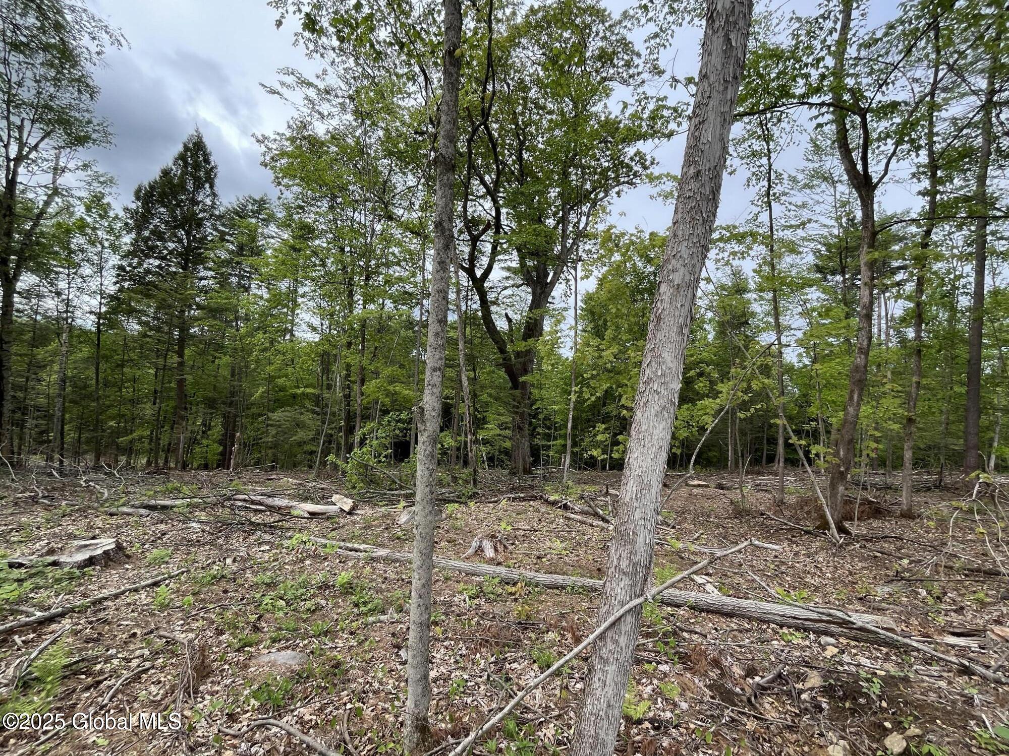 L4.2 Tripoli Road, Hudson Falls, New York image 5