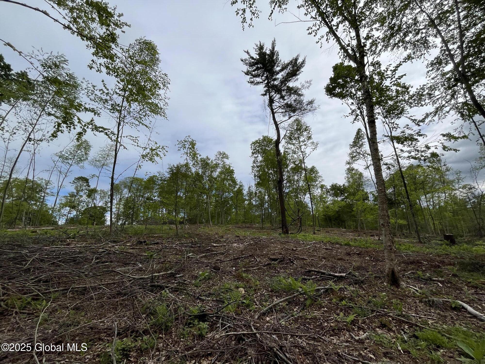 L4.2 Tripoli Road, Hudson Falls, New York image 7