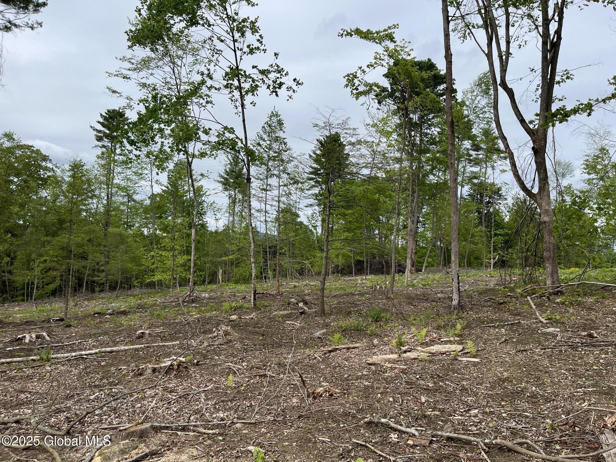 L4.2 Tripoli Road, Hudson Falls, New York image 10