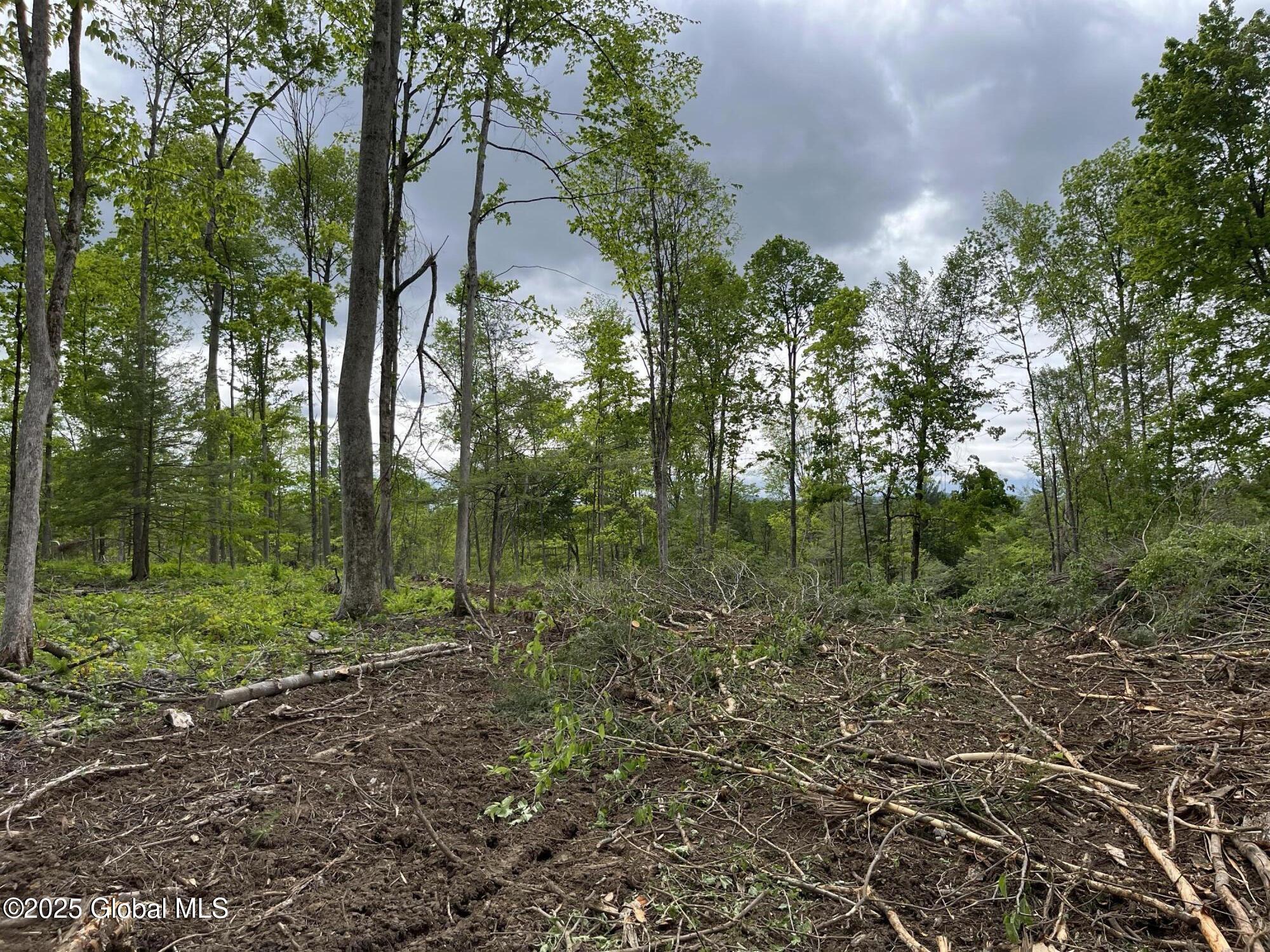L4.2 Tripoli Road, Hudson Falls, New York image 12