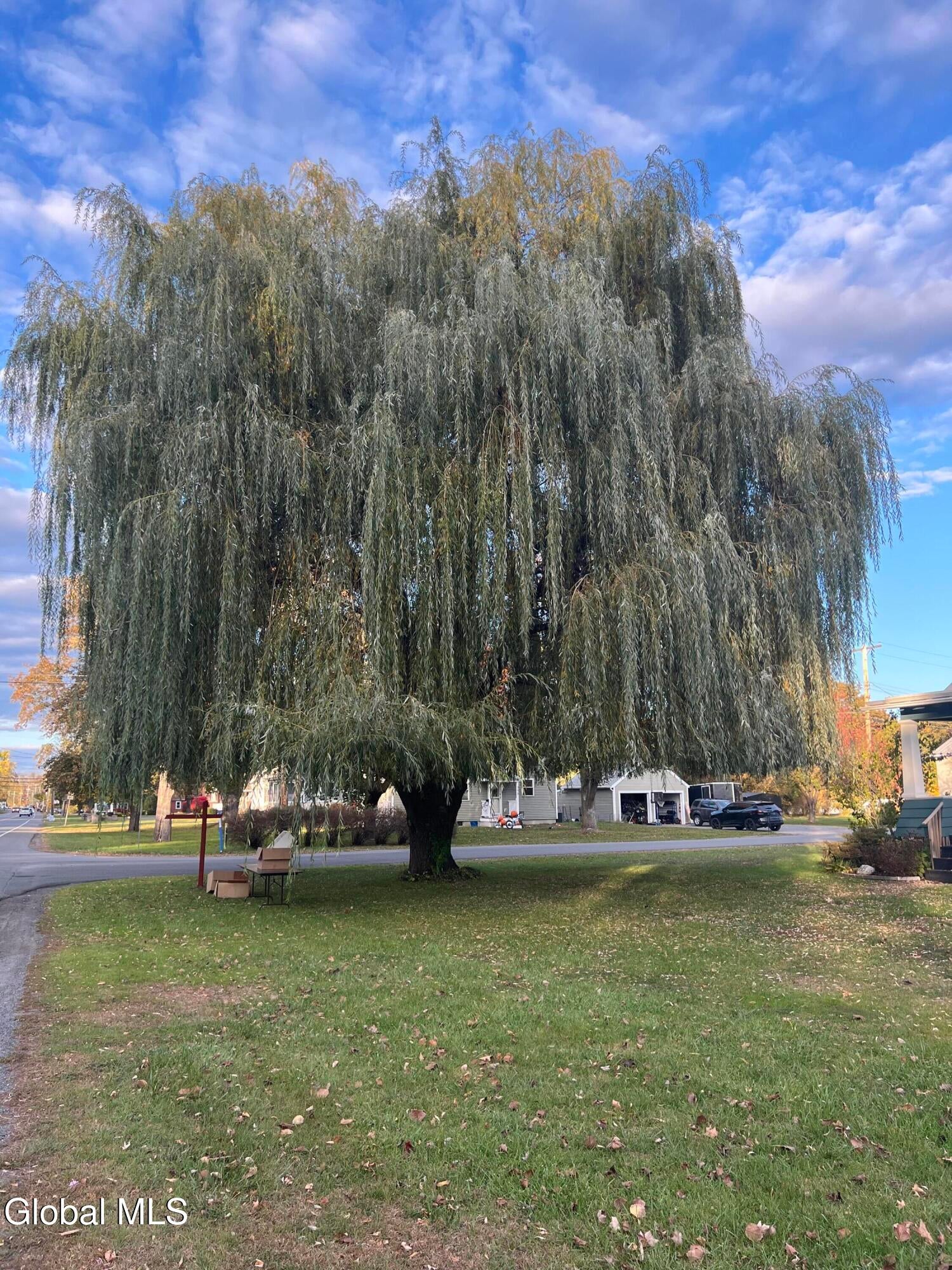 388 Saratoga Road