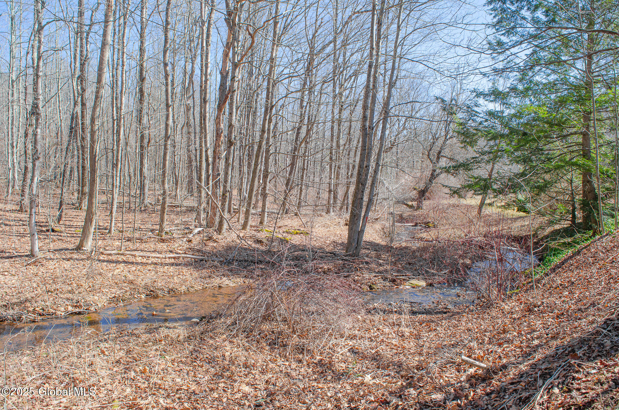 689 Old Road, Windham, New York image 29