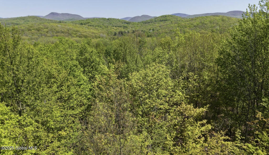 Koster Way, Salem, New York image 5