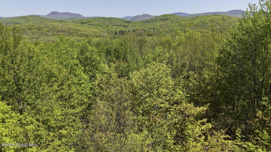 Koster Way, Salem, New York image 2