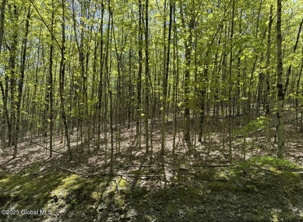 Koster Way, Salem, New York image 7
