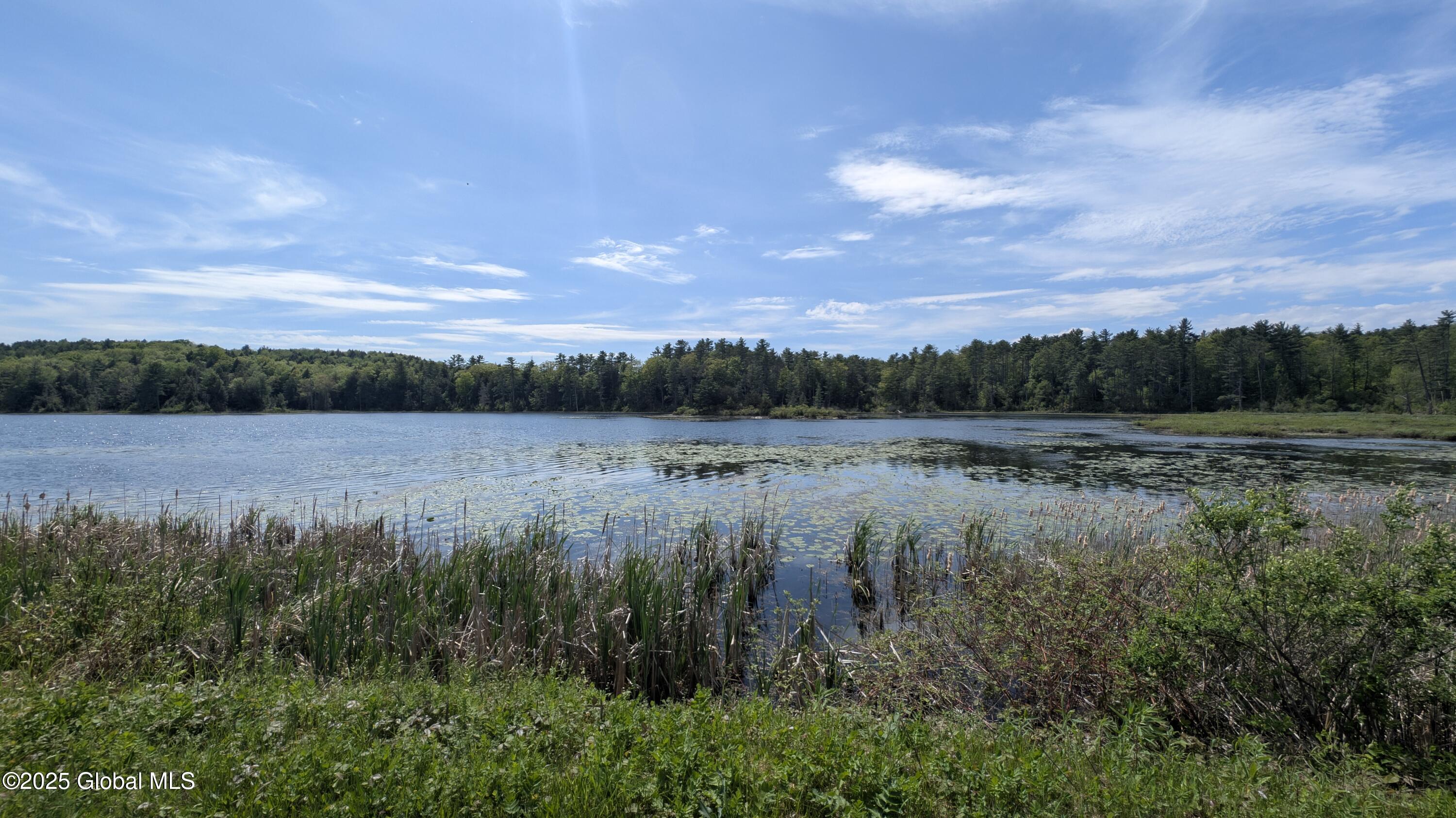 L18.4 Holcombville Road, Whitehall, New York image 6