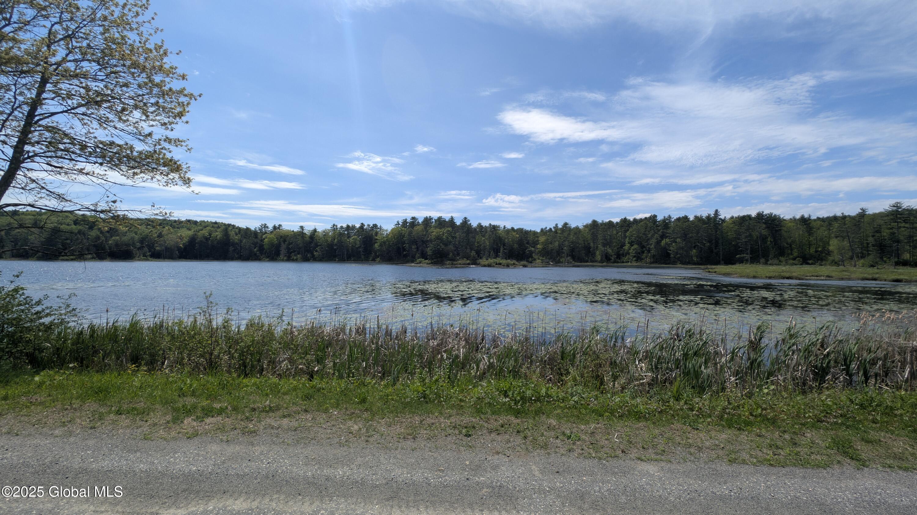 L18.4 Holcombville Road, Whitehall, New York image 5