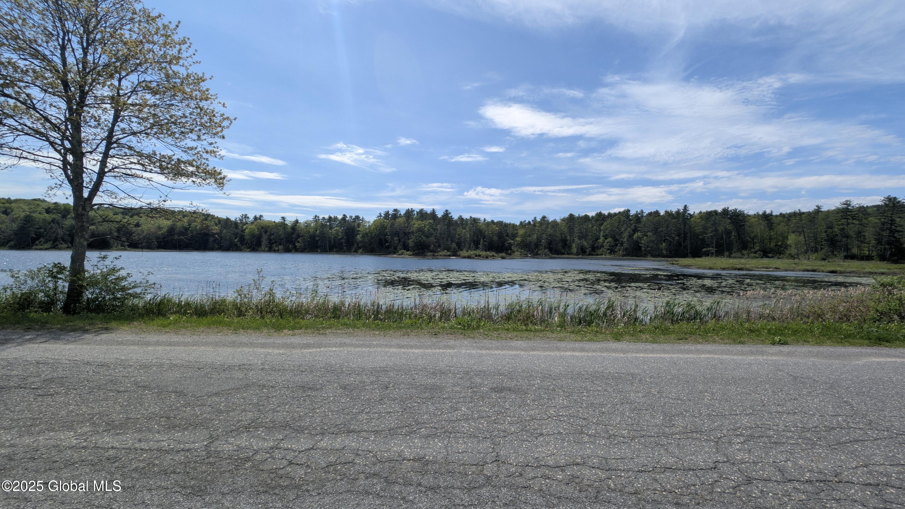 L18.4 Holcombville Road, Whitehall, New York image 4