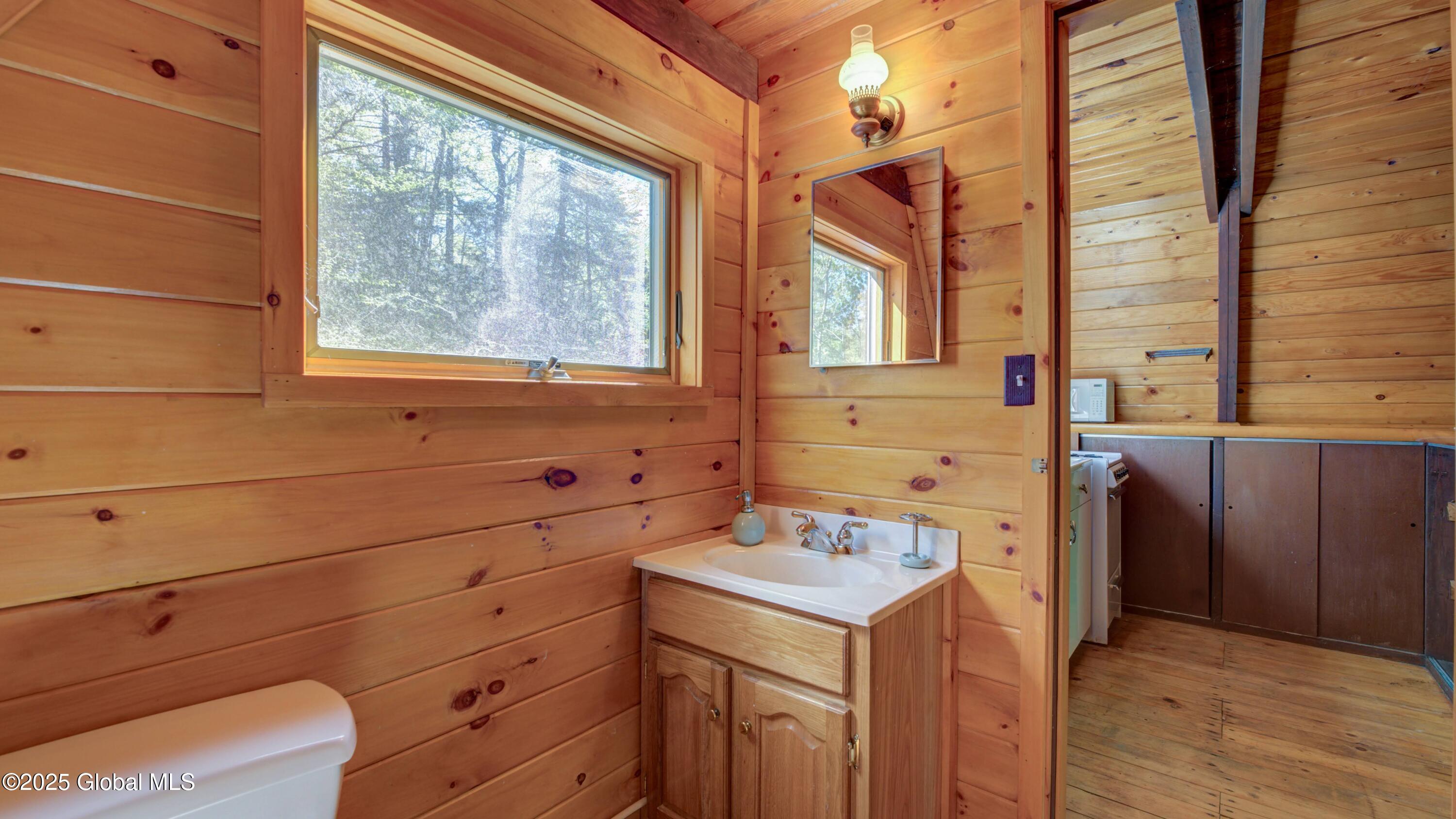 103 Pine Cone Lane, Lake Pleasant, New York image 44