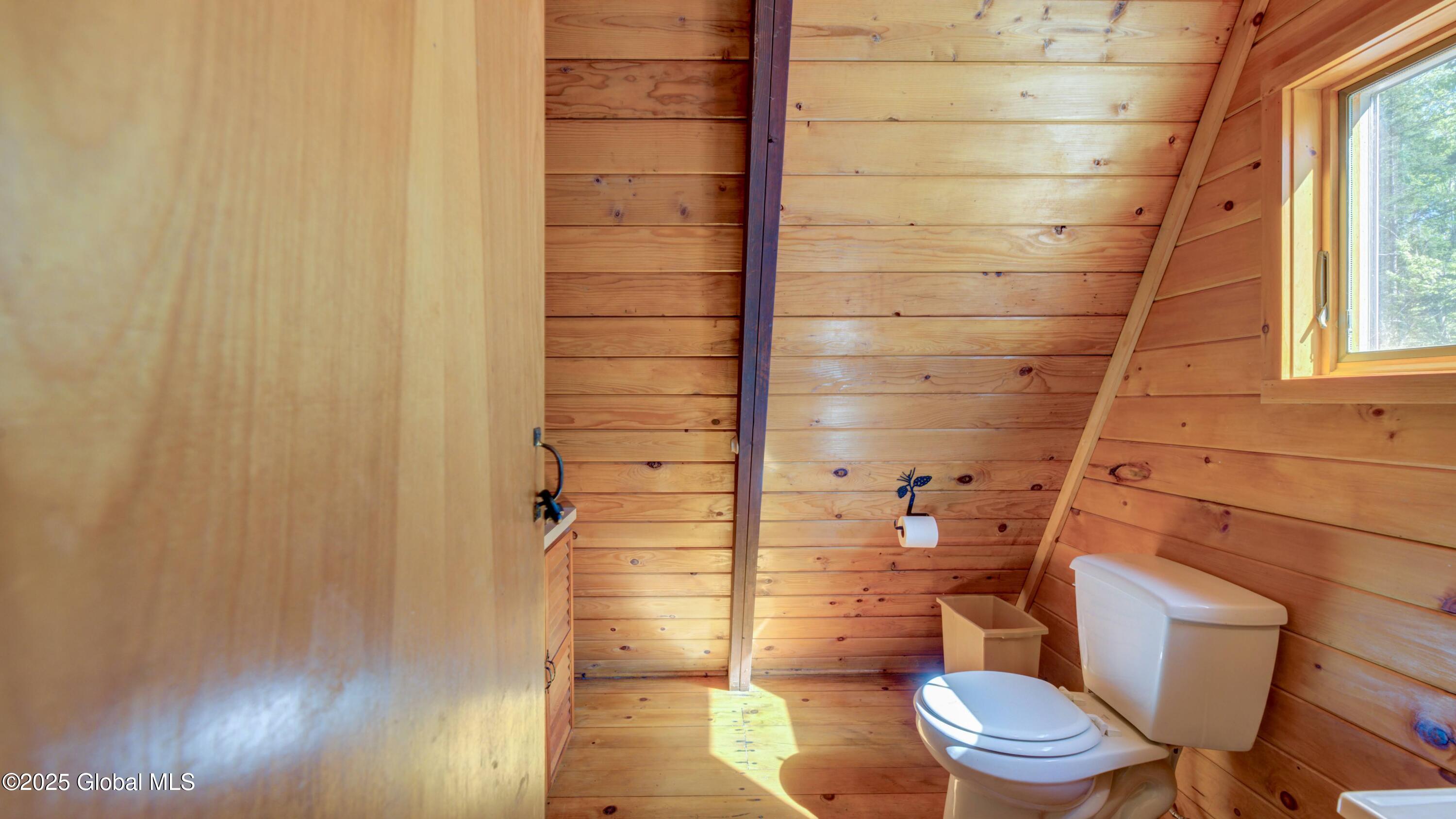 103 Pine Cone Lane, Lake Pleasant, New York image 43