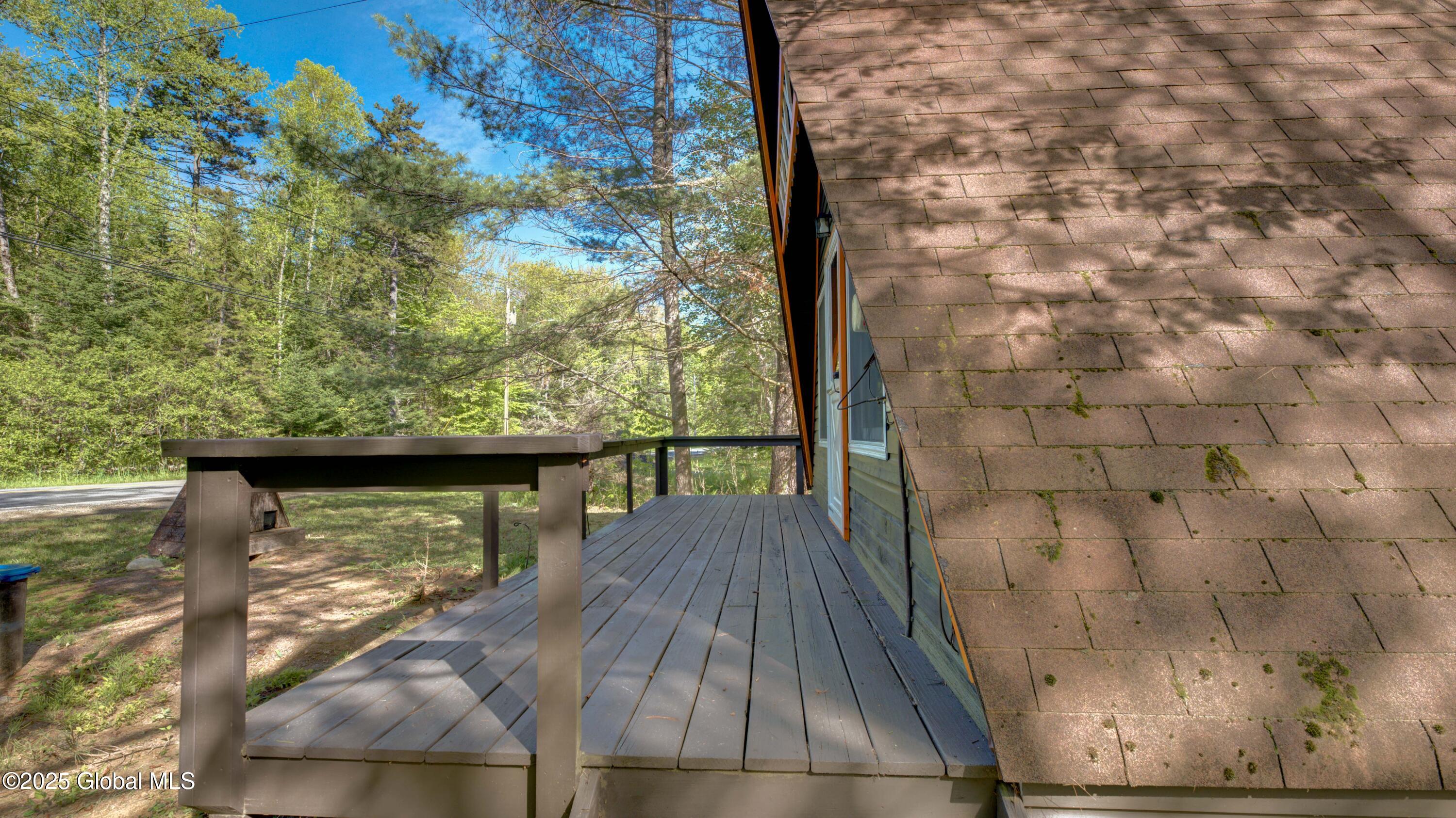 103 Pine Cone Lane, Lake Pleasant, New York image 6