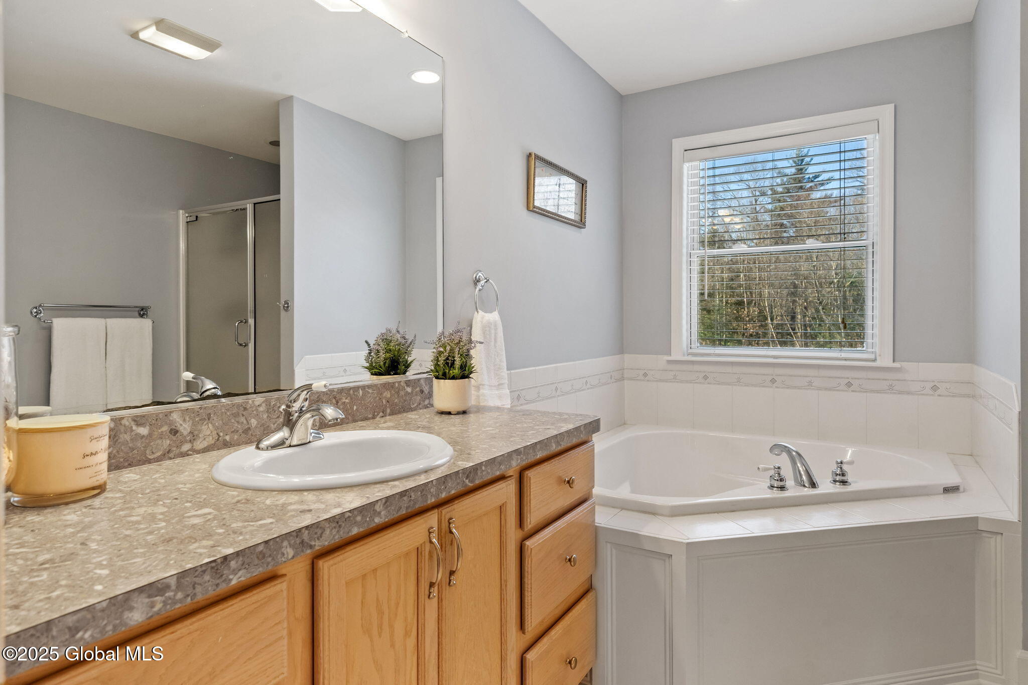 45 Liberty Way, Clifton Park, New York image 29