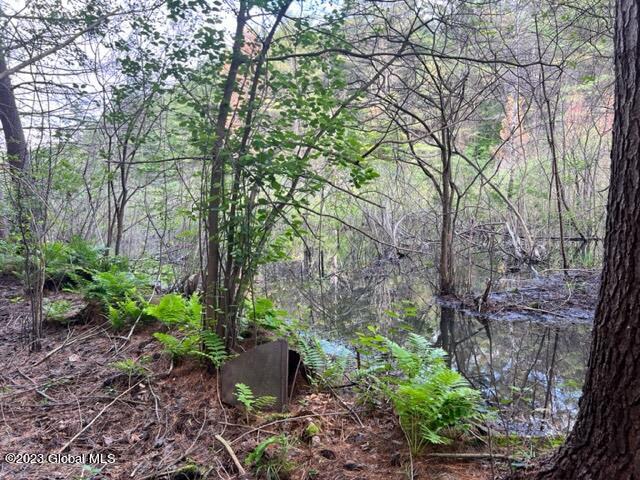 Lot 1 Mcgregor Road, Gloversville, New York image 6