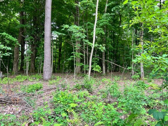 Lot 1 Mcgregor Road, Gloversville, New York image 9